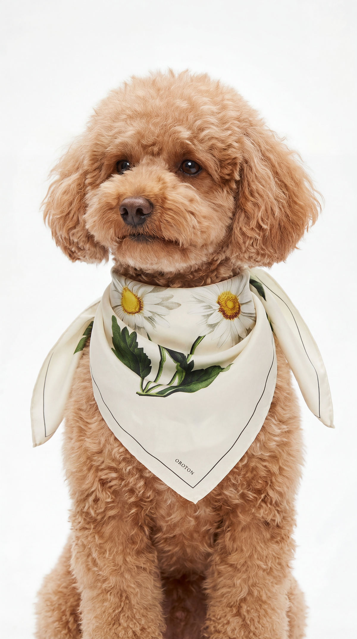 Oroton scarf concept